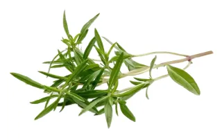 Green Thyme 200 g