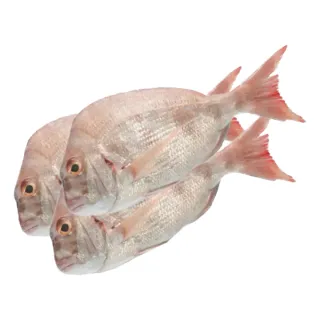 Kofar Small 1 kg