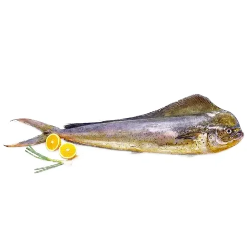 Pappan Fish 600 g