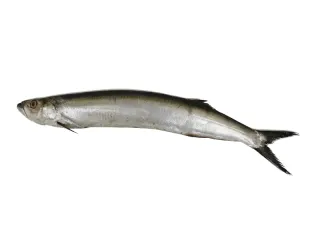 فالا