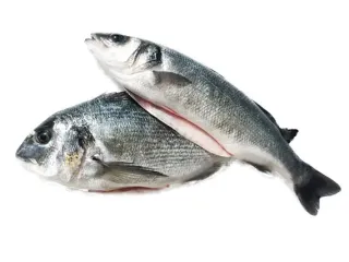 Sea Bass Turkey 1 kg
