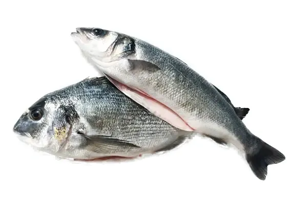Sea Bass Turkey 1 kg