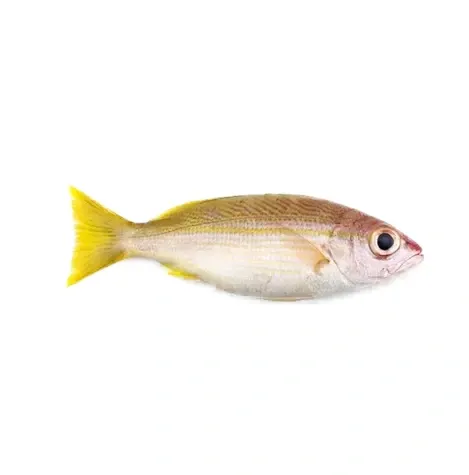 Naizer 600 g