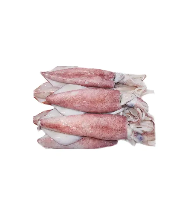 Squid-10/20 Import 1 kg