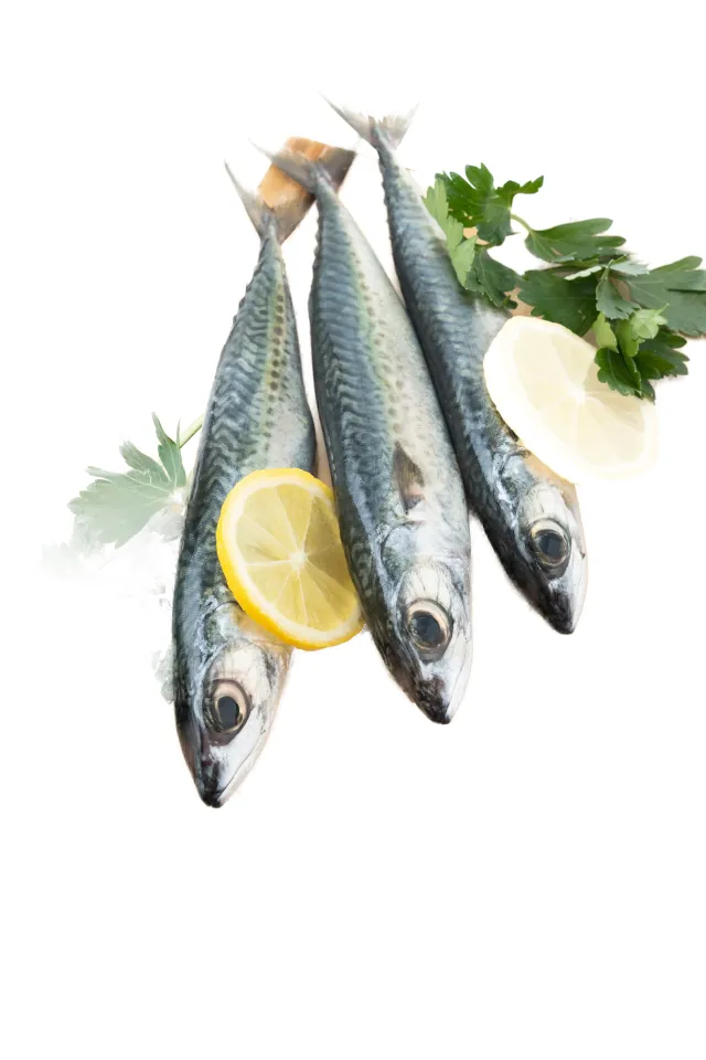 White Sardine Import 600 g