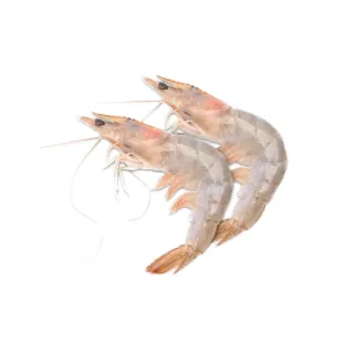 Sea White Prawns Import 600 g