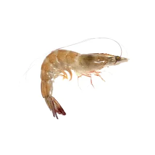 Vannamei Prawns Import 1 kg