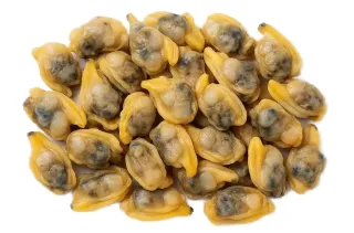 استيراد لحم المحار