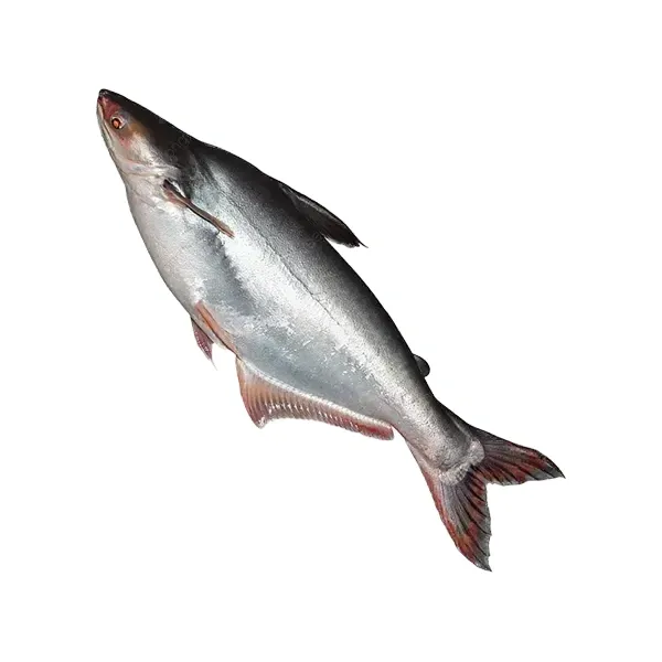 Pangas Fish Vaala Import 600 g