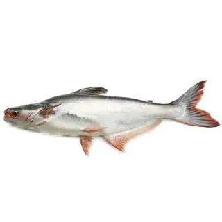 Pangas Fish Vaala Import 1 kg