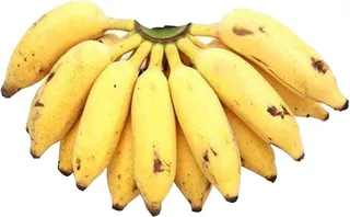 موز هندي صغير