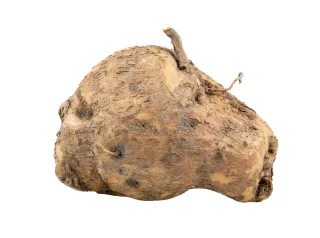 كاتشيل (كافاث) الهند