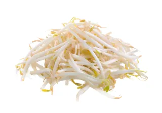 براعم الفاصوليا