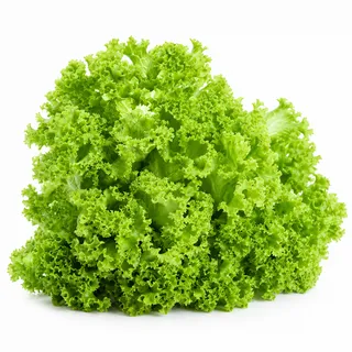 لولو بيوندا جرين