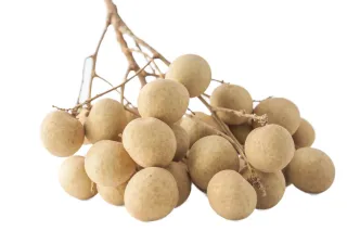 الليتشي