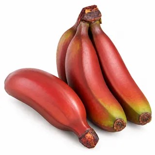 بوفان أحمر