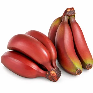 بوفان أحمر