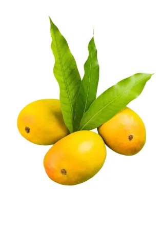Himam Pasanth Mango 600 g