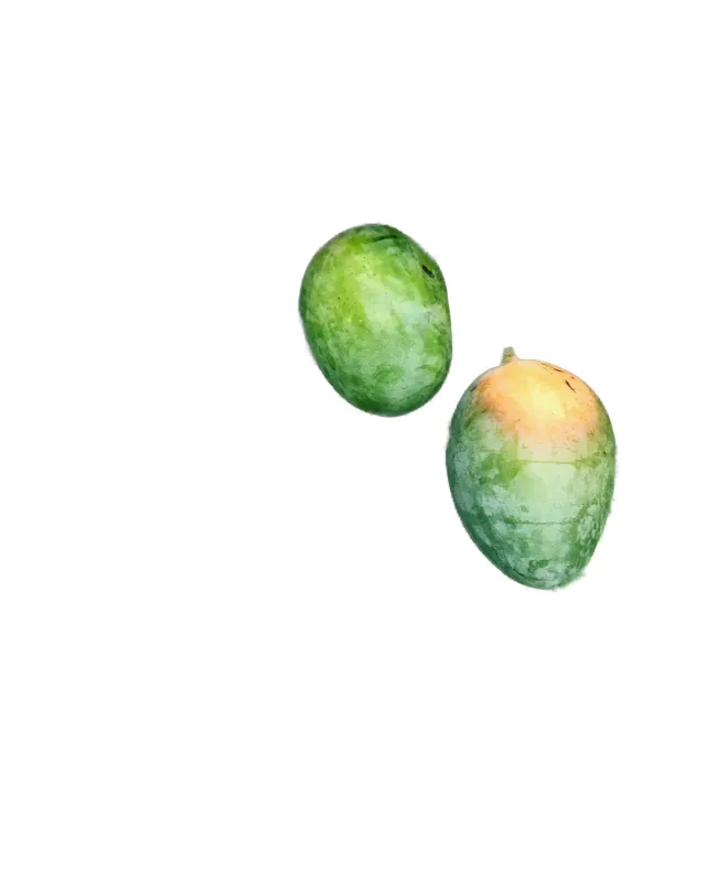 Kalapadi Mango 2 kg