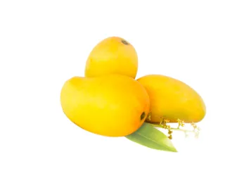 Malgova Mango 600 g