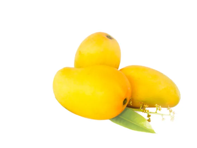 Malgova Mango 600 g
