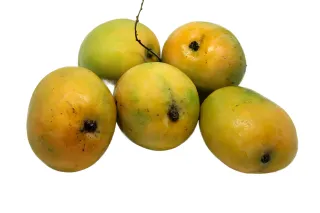 Moovandan Mango 600 g
