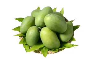 مانجو ناداسالا