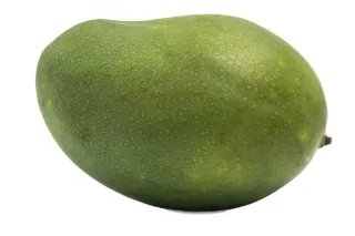 مانجو ناداسالا