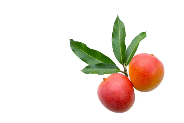 Mango Cheeri 2 kg