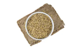 بذور الكمون