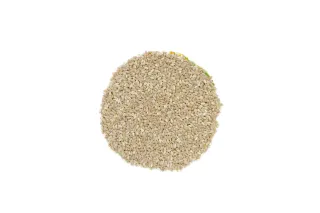 الهريس