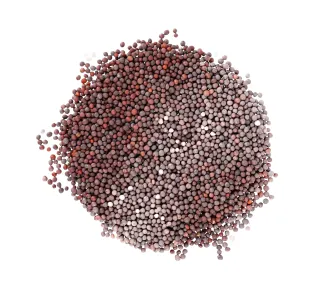 الخردل