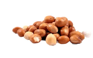 الفول السوداني