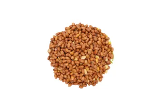 Sana Peanut Oily Small 250 g