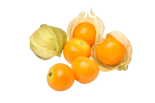 Golden Berry