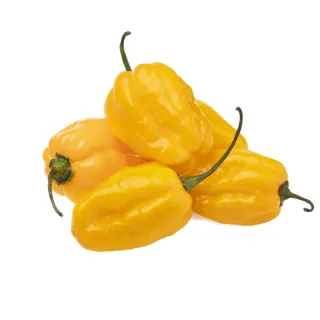 Habanero Yellow Holland