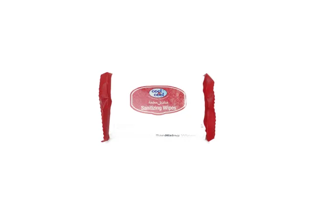 Cool And Cool Sanitizing Wipes 15 pcs